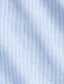 Ralph Lauren Custom Fit Striped Linen Shirt