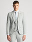 Remus Uomo Light Grey Massa Suit Jacket-Blazers-Remus Uomo-Grey-34R-Diffney Menswear